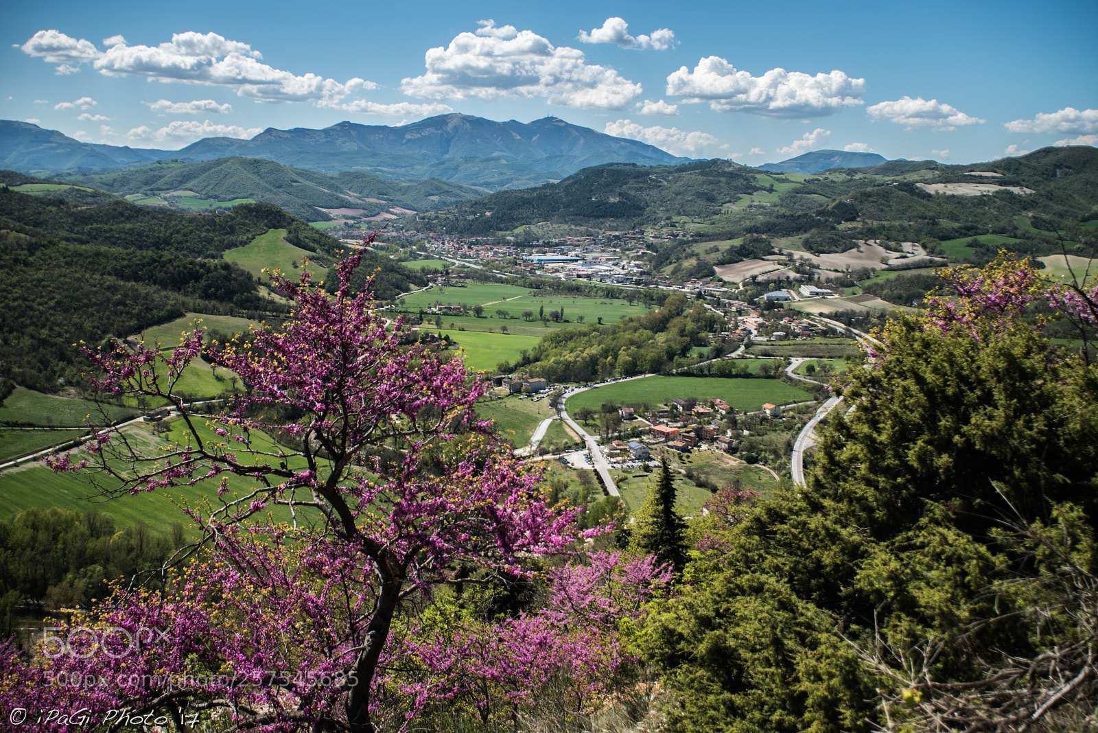 Nikon D750 sample photo. Passo del furlo photography