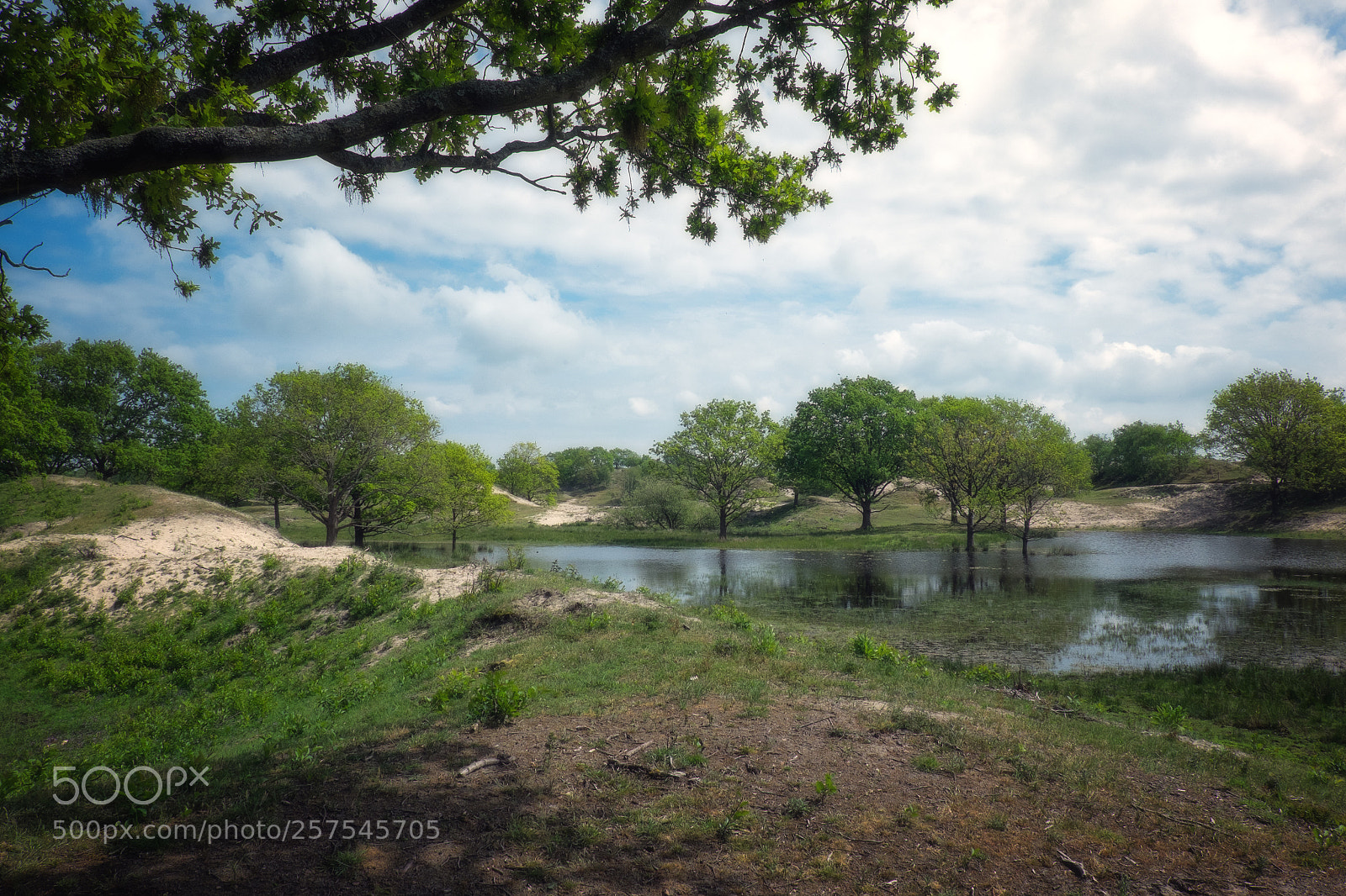 Fujifilm X-T1 sample photo. Pure nature photography