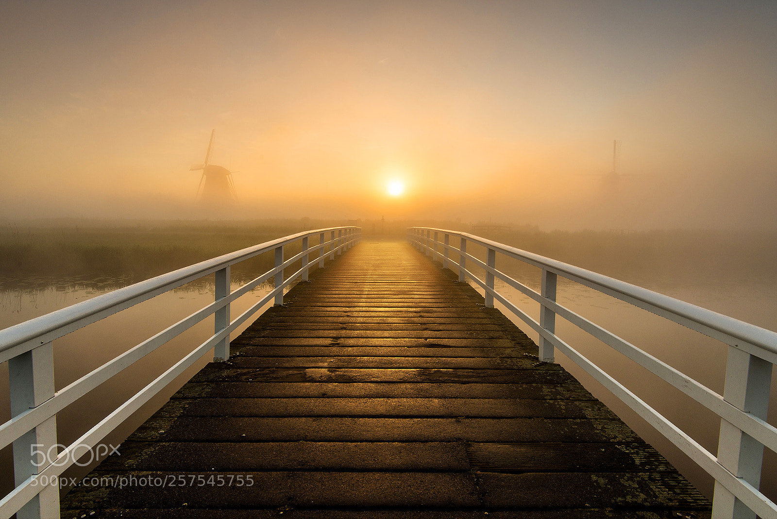 Nikon D610 sample photo. The bridge photography