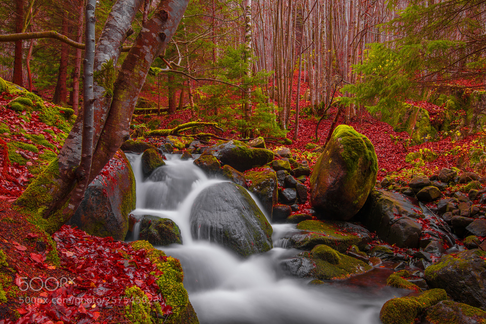 Nikon D810 sample photo. Fantasy waterfall photography