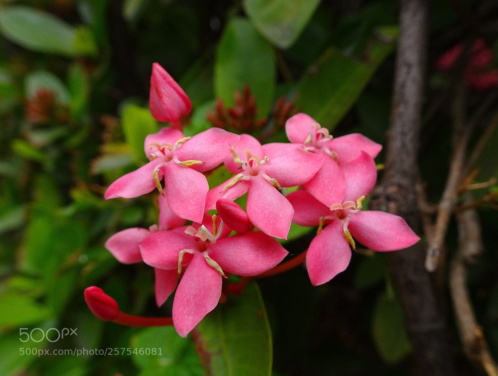 Sony Cyber-shot DSC-HX90V sample photo. Untitled photography