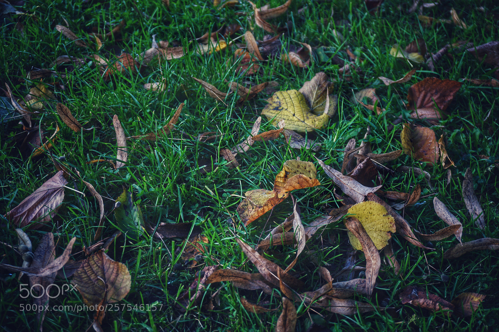 Sony a6000 sample photo. Untitled photography