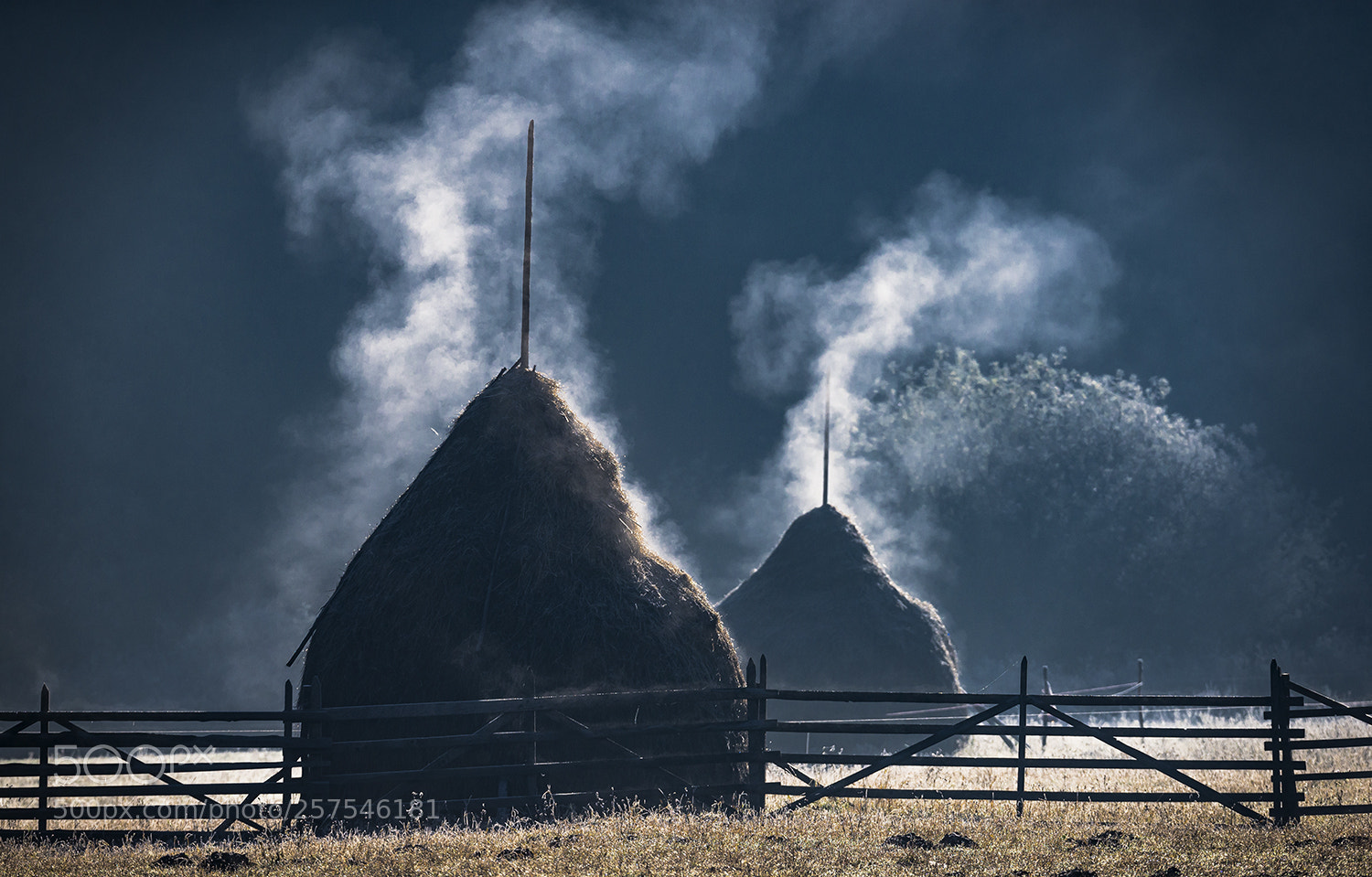 Nikon D610 sample photo. Morning vapor photography