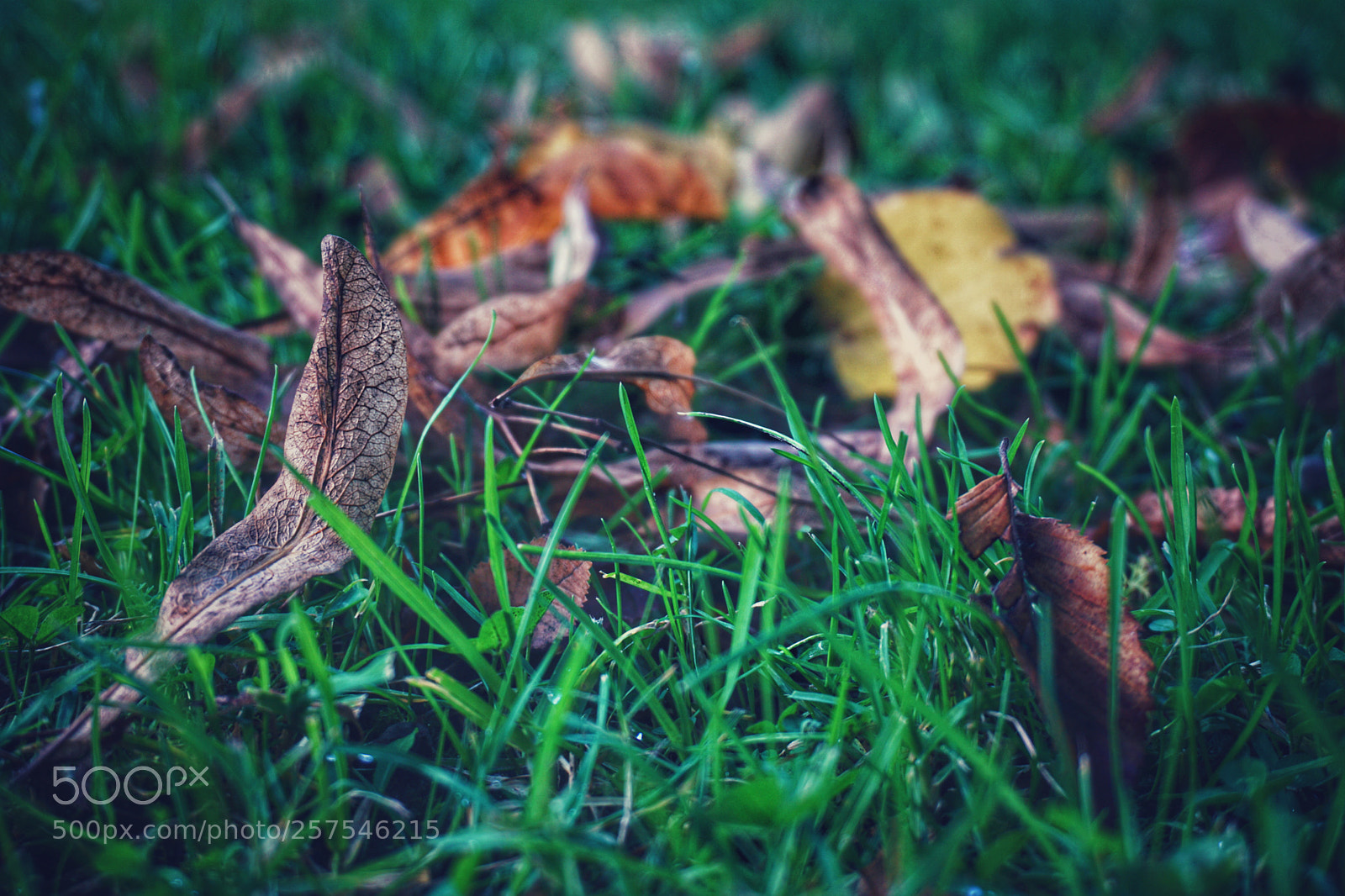Sony a6000 sample photo. Untitled photography