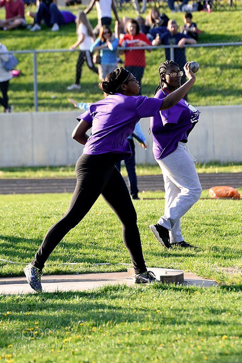 Nikon D500 sample photo. 5-7_0739.jpg photography