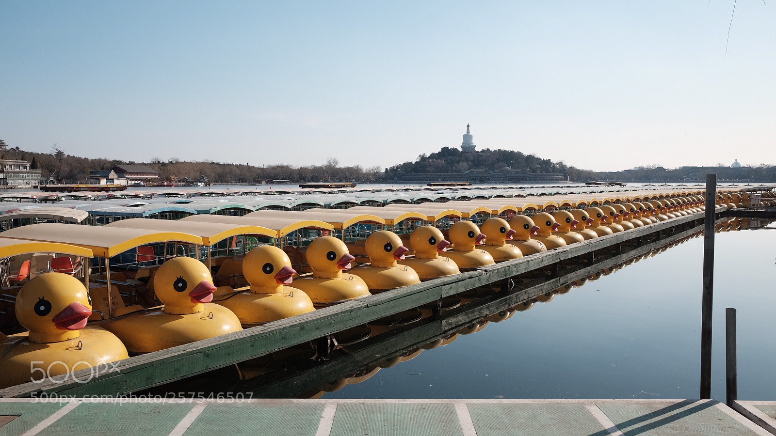 Fujifilm X70 sample photo. Untitled photography