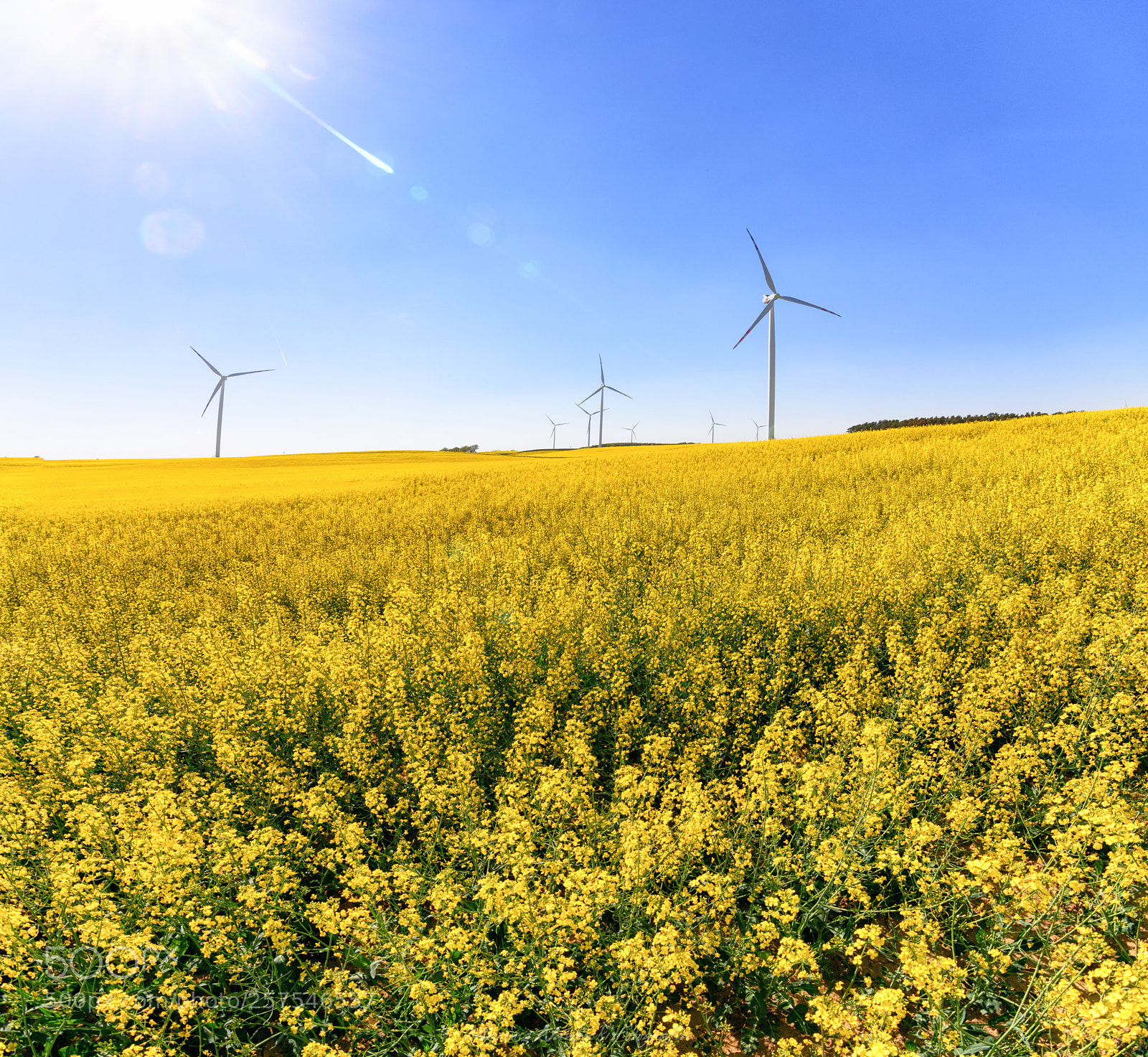 Nikon D7200 sample photo. Yellow yellow blue ;-) photography