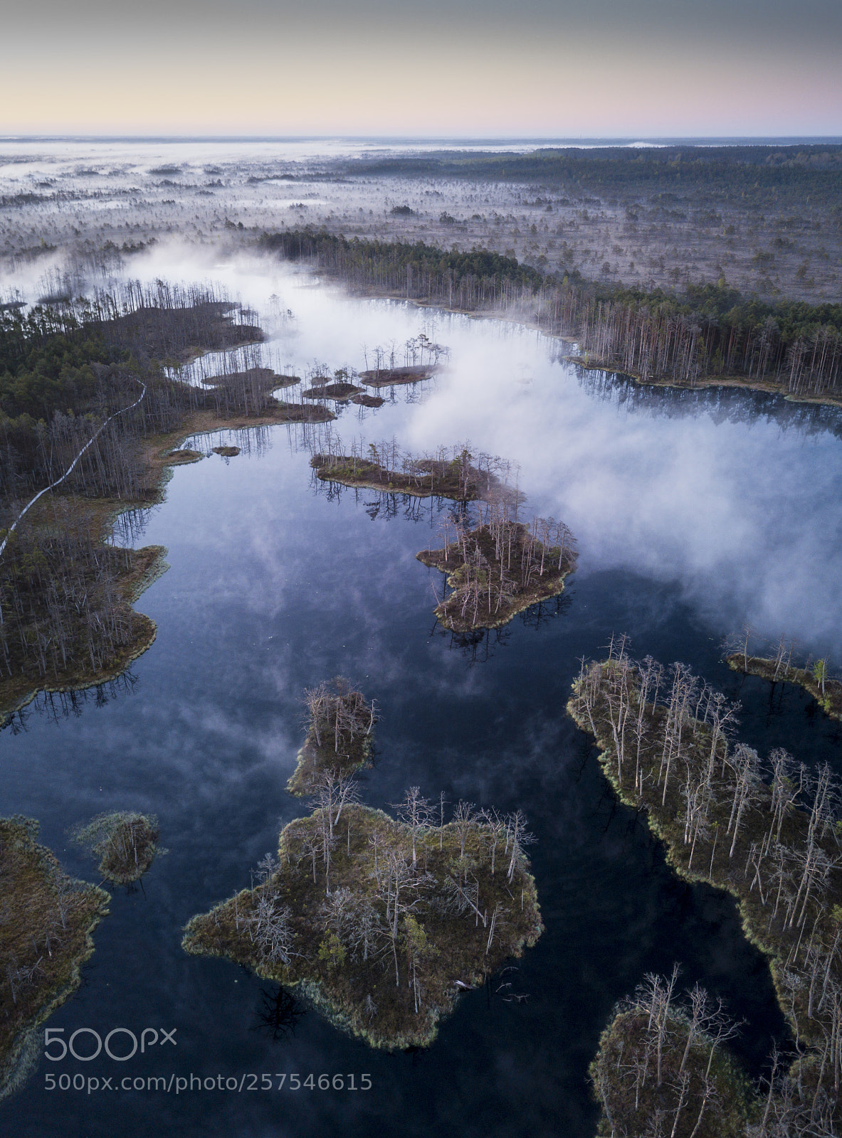 DJI FC220 sample photo. Morning light&fog photography