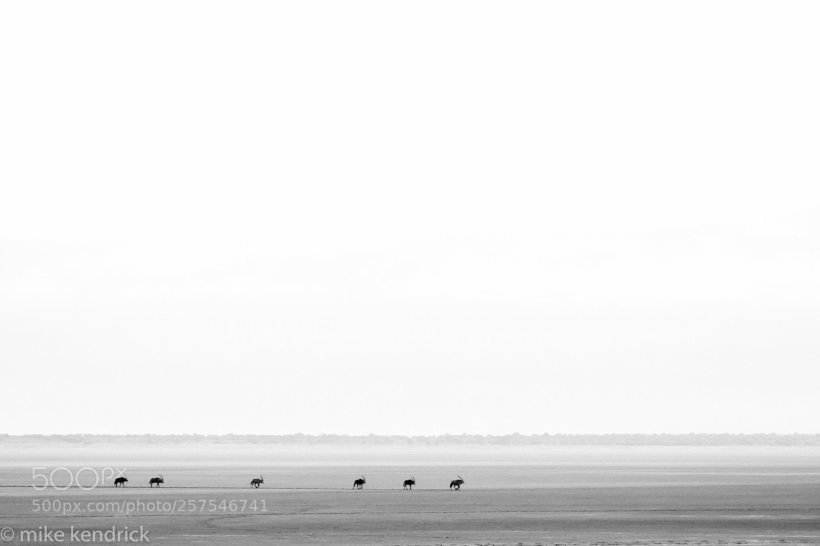 Canon EOS 50D sample photo. Px photography