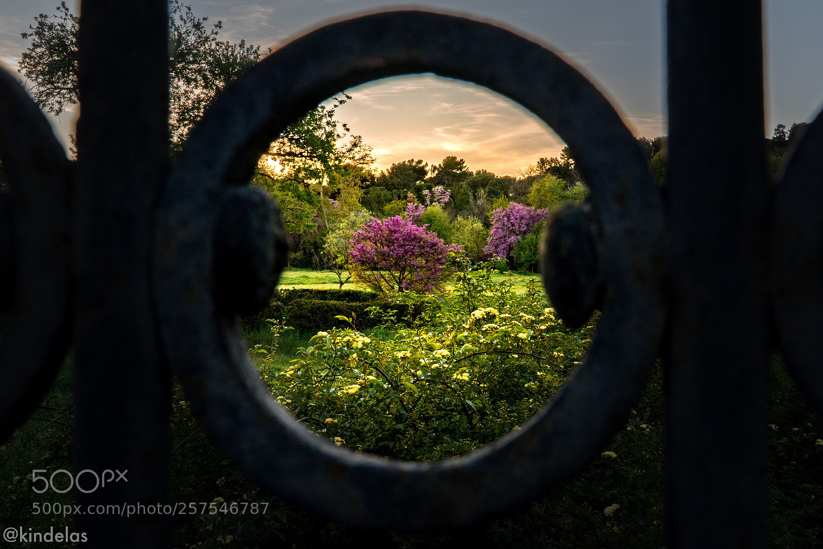 Sony a6300 sample photo. La quinta arias madrid photography