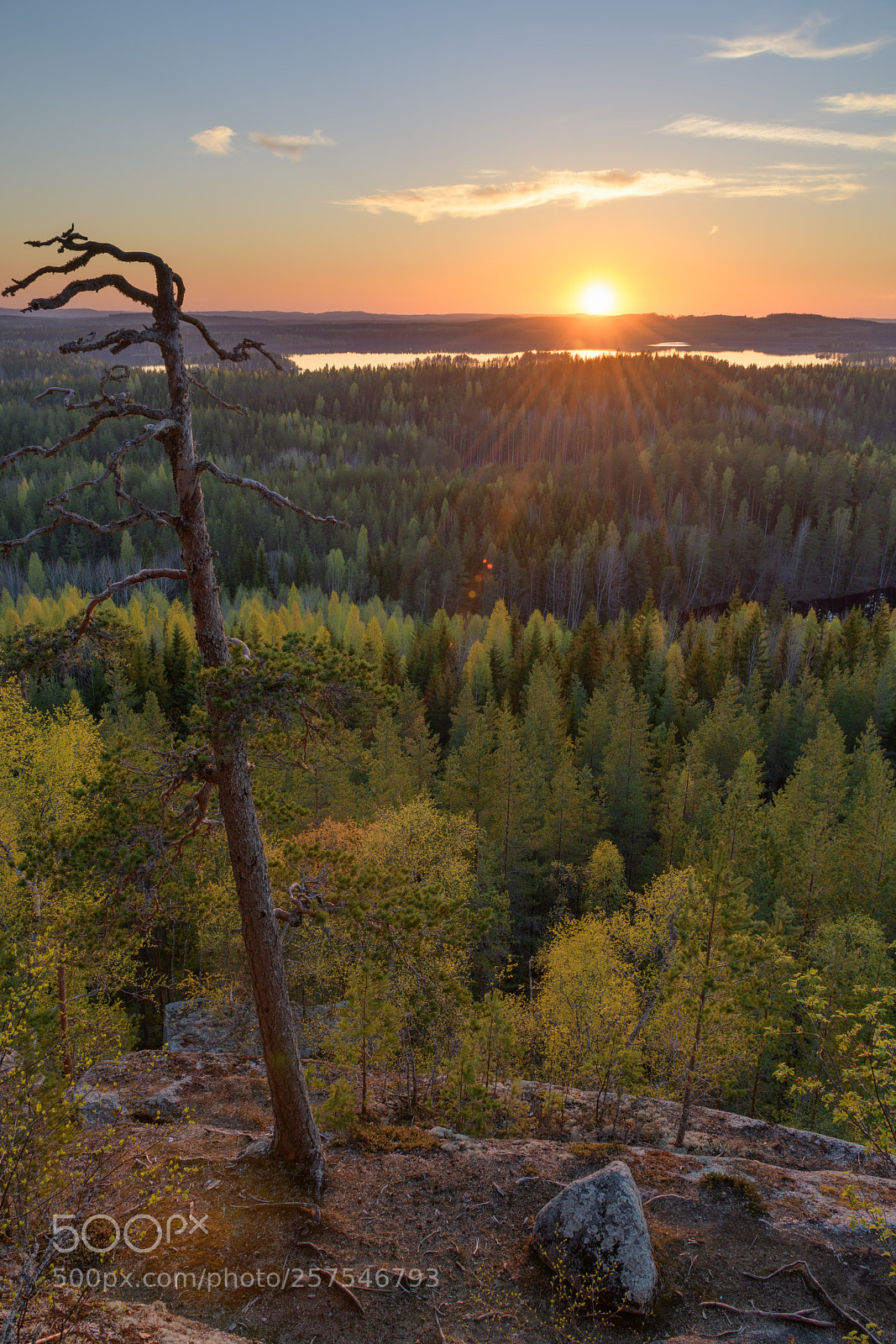 Nikon D850 sample photo. Hyyppäänvuori sunset photography