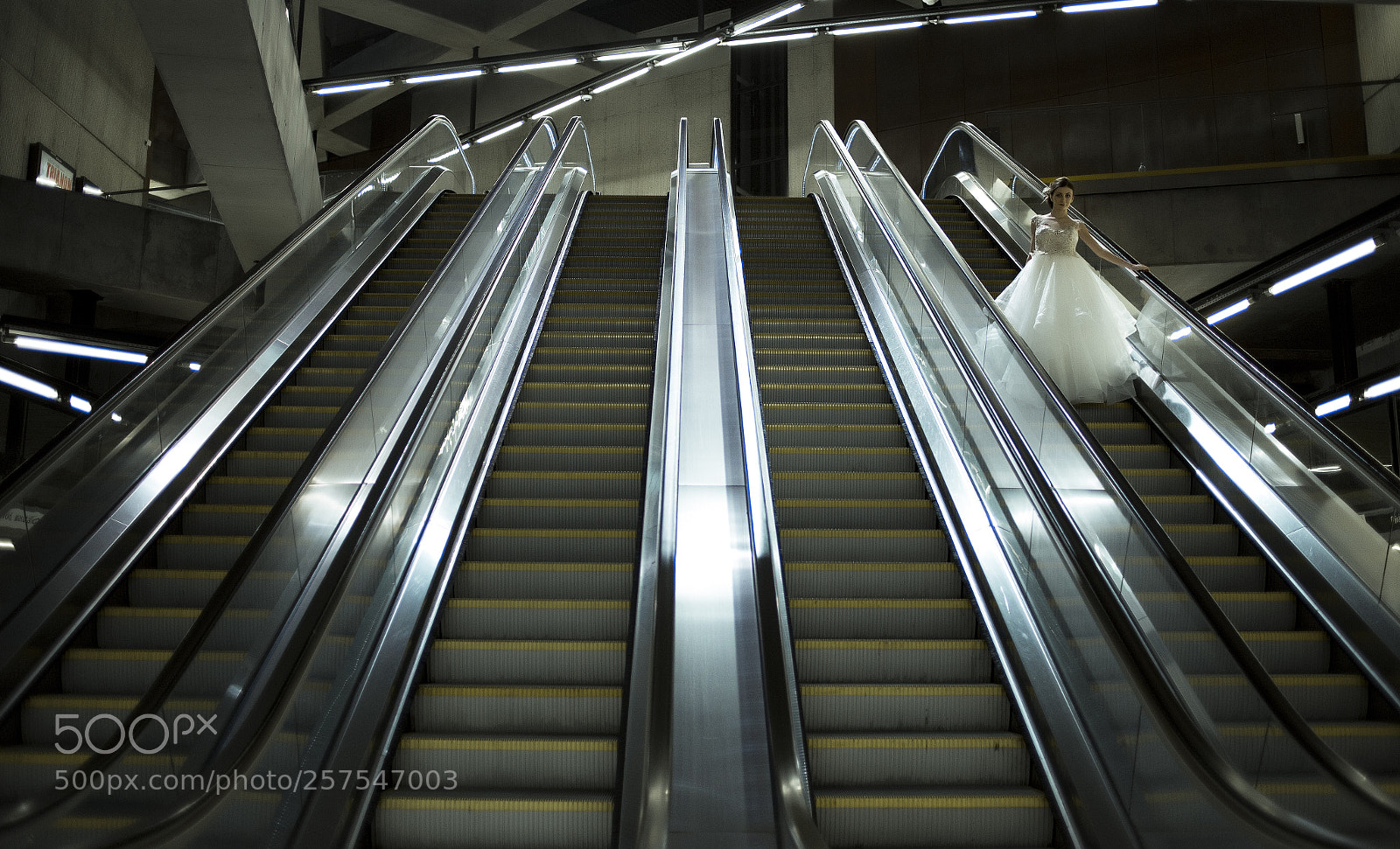 Canon EOS 6D sample photo. Wedding 7 photography