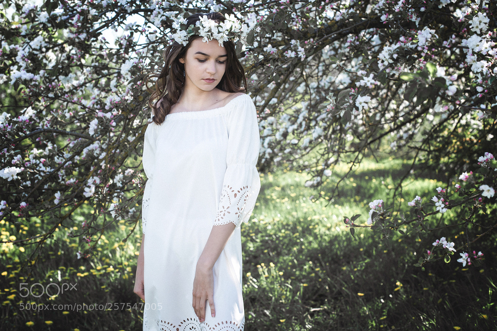 Nikon D750 sample photo. Blooming beauty photography
