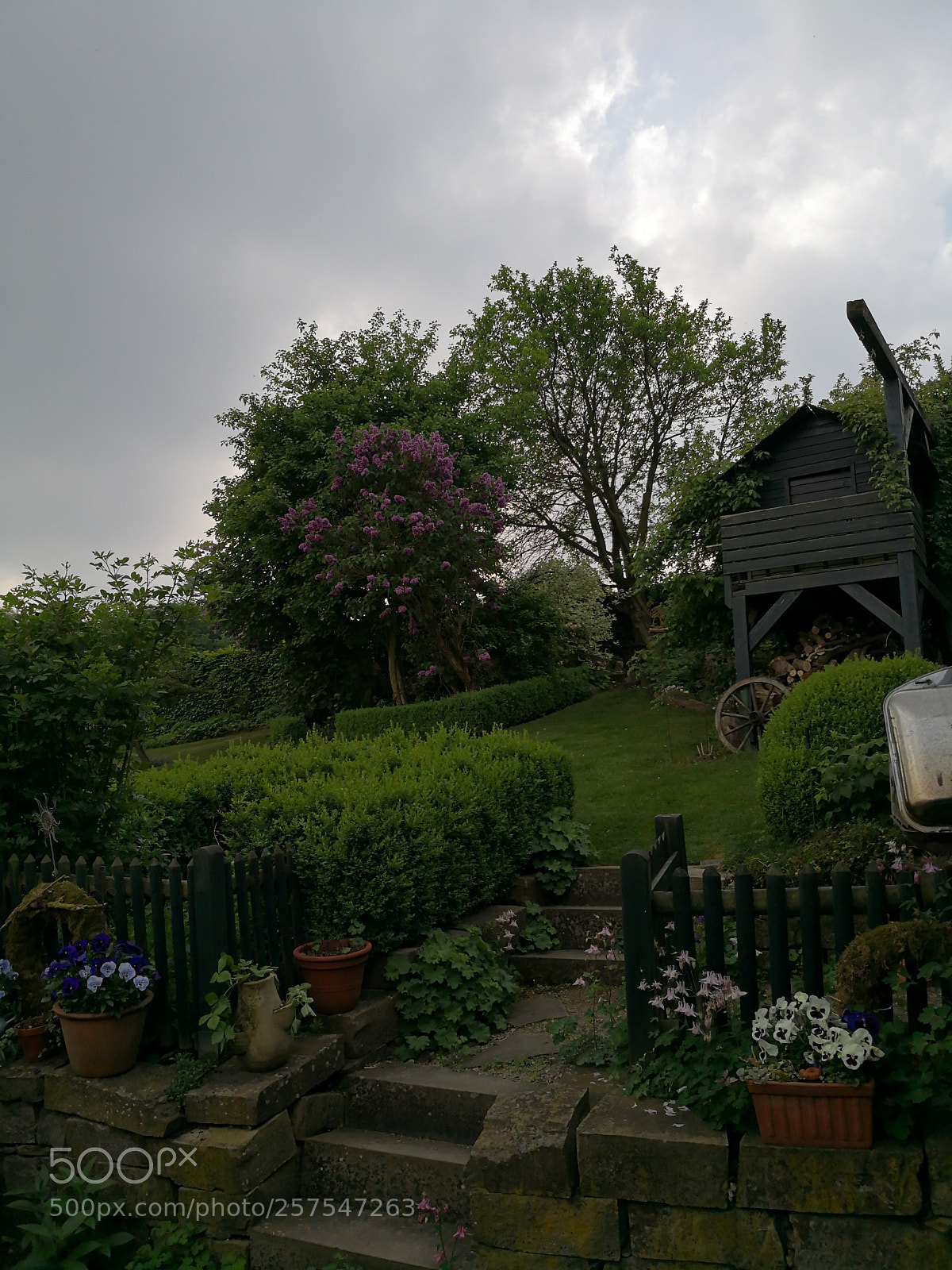 HUAWEI Mate 10 Pro sample photo. Untitled photography
