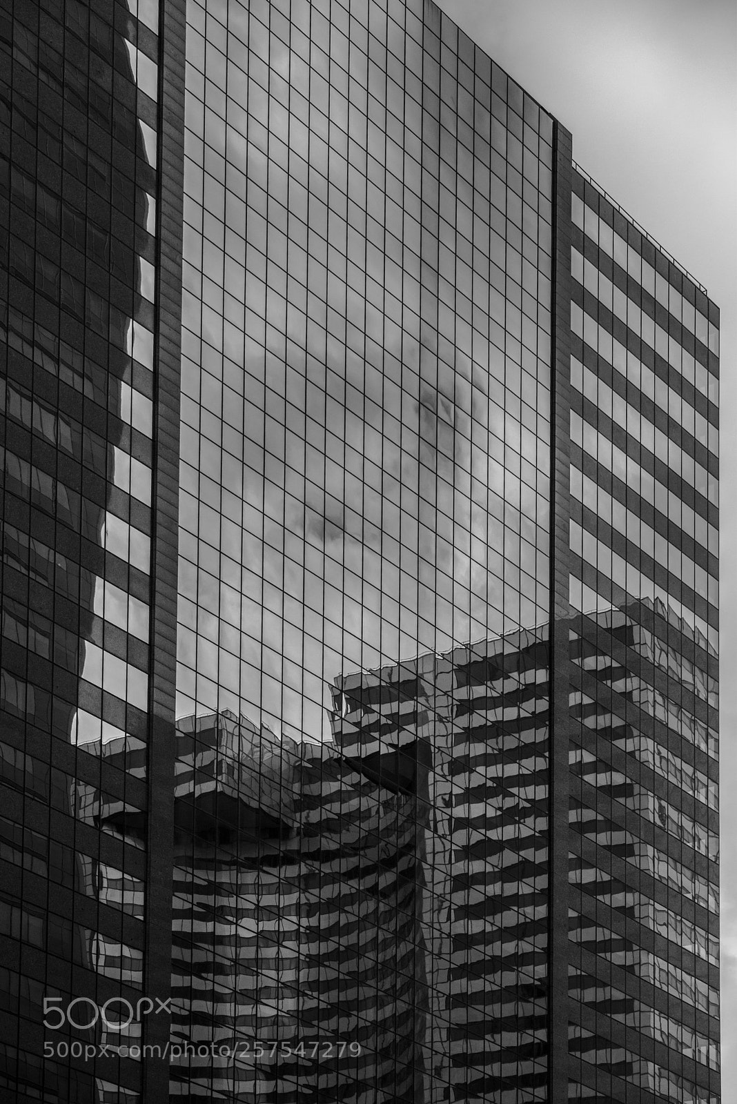 Nikon D800 sample photo. New facade photography