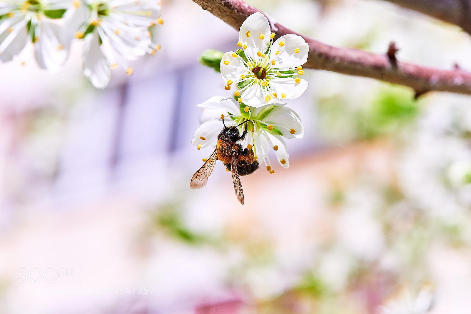 Nikon D800 sample photo. Nature! photography