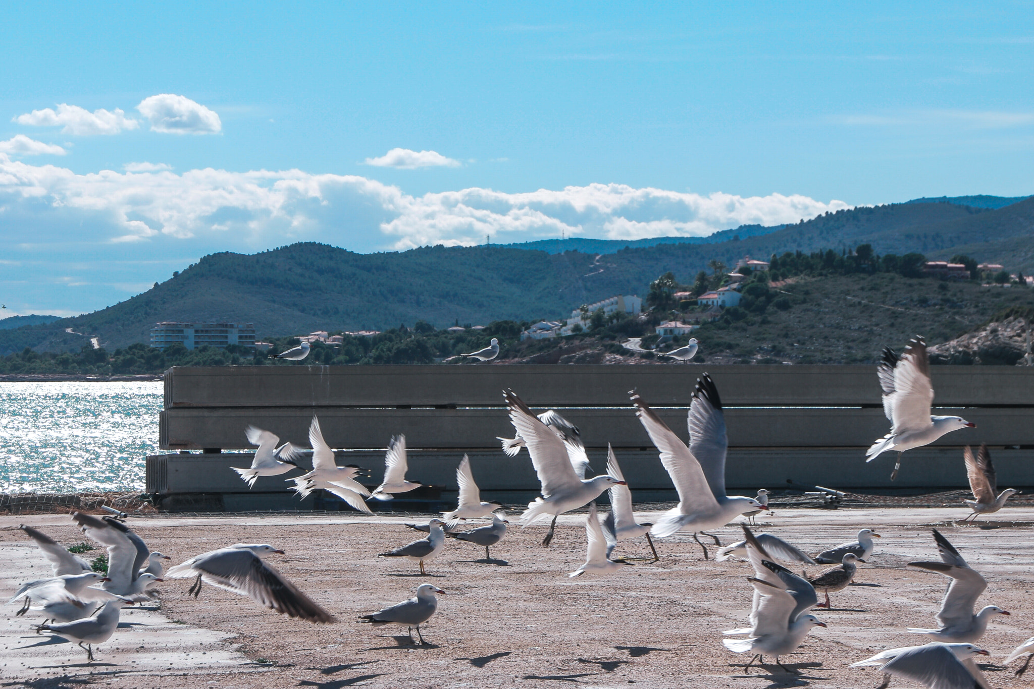 Samsung NX500 sample photo. Taking off from the dock photography