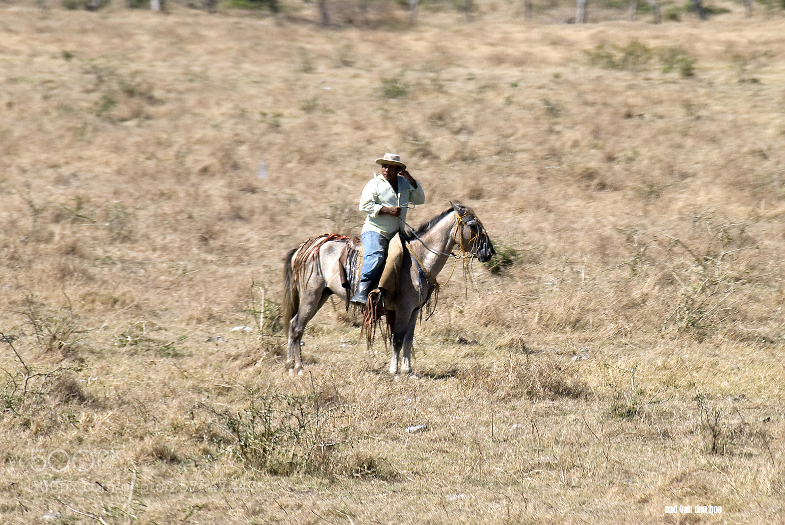Nikon D80 sample photo. Costa rica photography