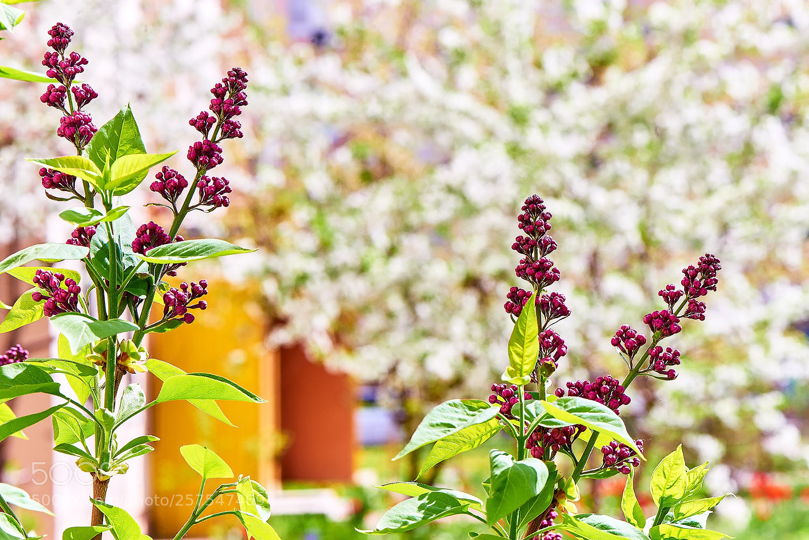Nikon D800 sample photo. Untitled photography