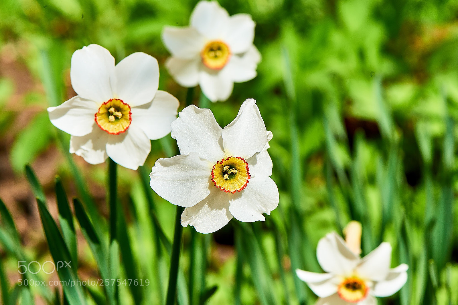 Nikon D800 sample photo. Untitled photography