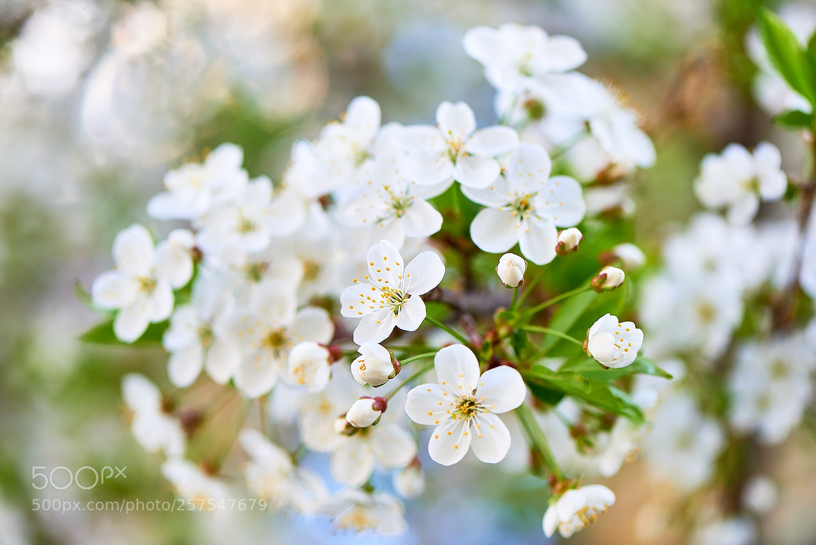 Nikon D800 sample photo. Untitled photography