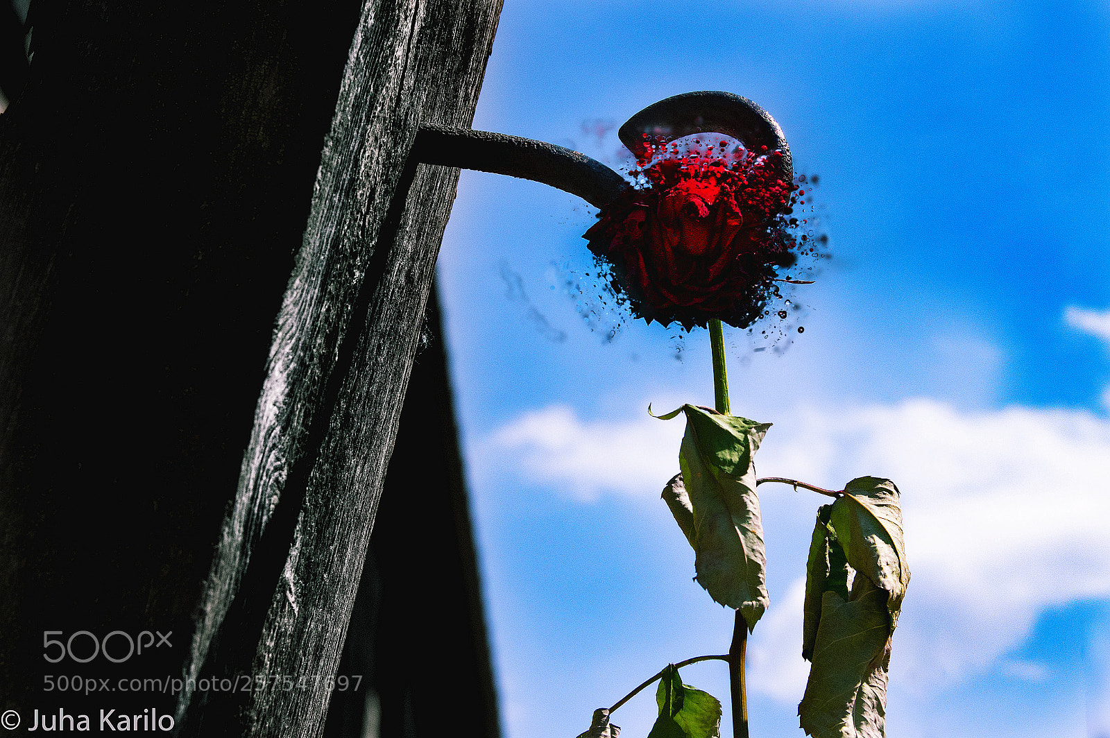 Pentax K-3 sample photo. Just hanging photography