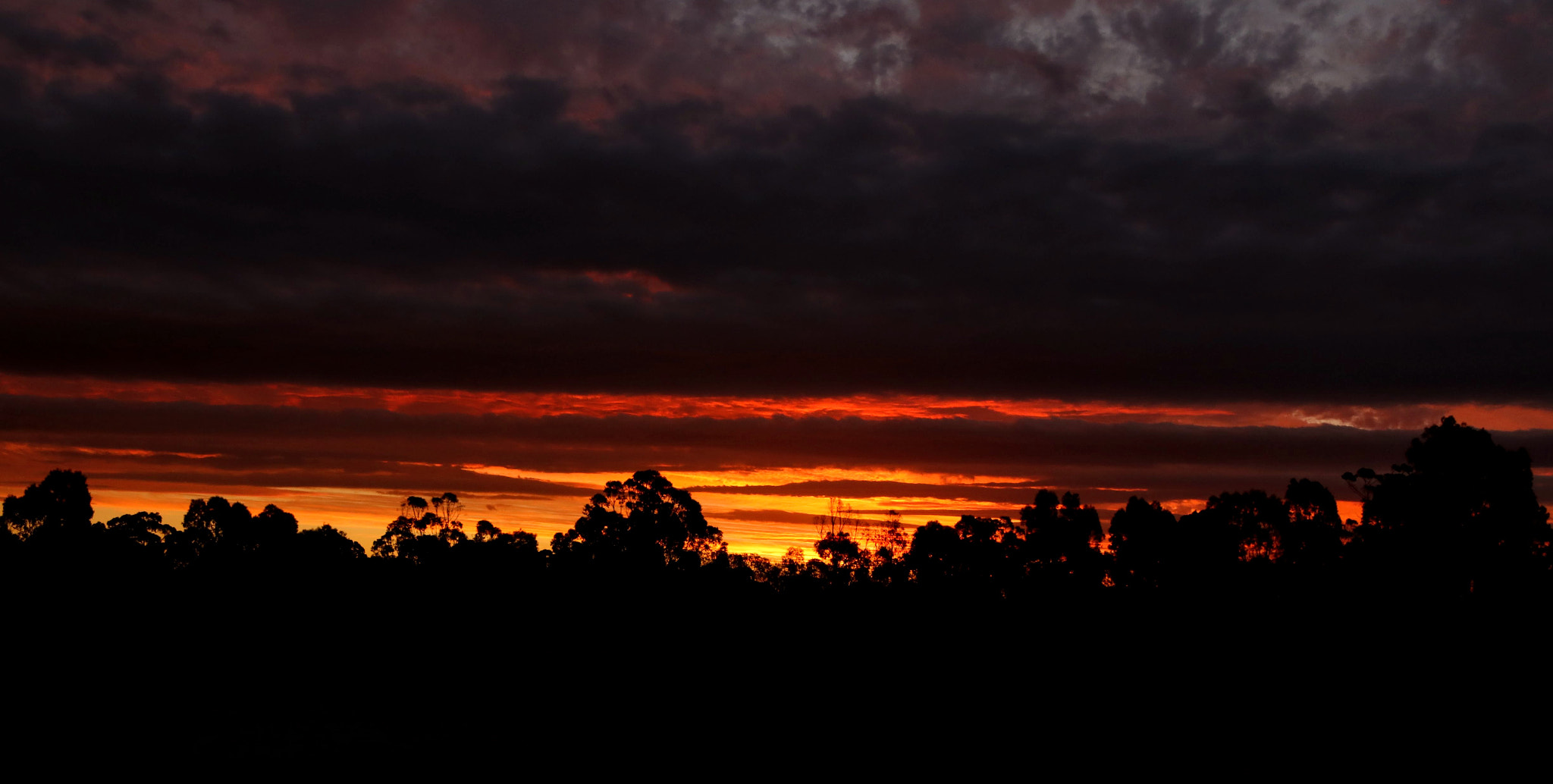 Canon EF-S 17-55mm F2.8 IS USM sample photo. Sunset at blackburn south photography