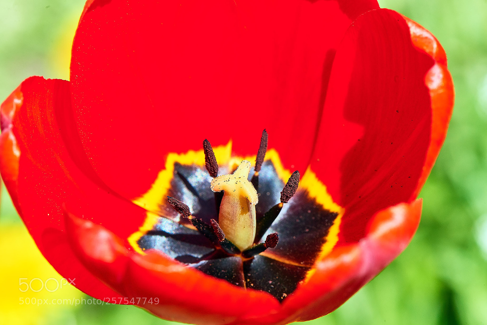 Nikon D800 sample photo. Untitled photography