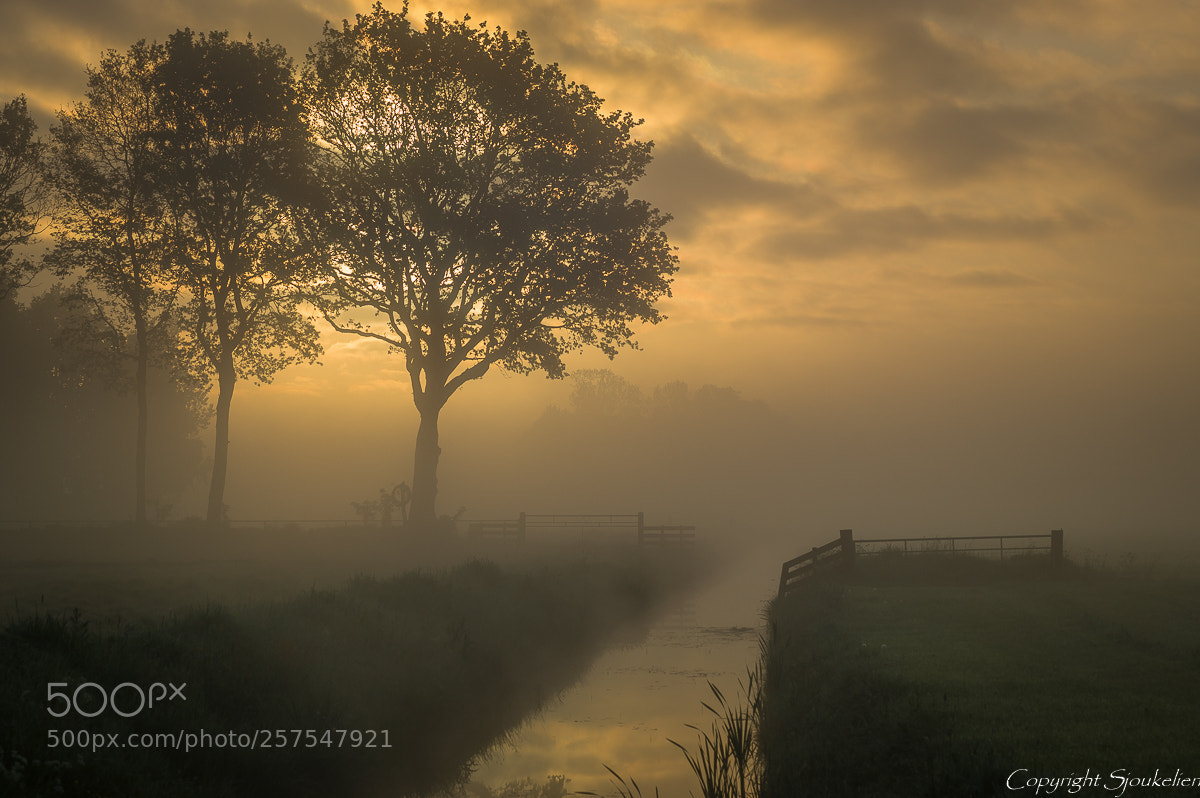 Pentax K-3 sample photo. Foggy morning photography