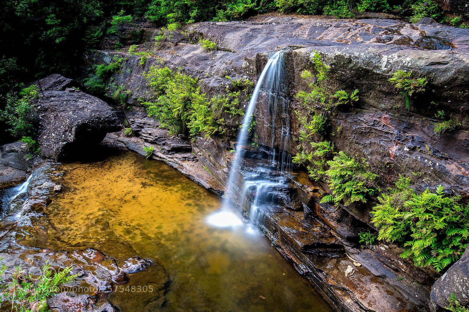 Nikon D750 sample photo. Wentworth falls photography
