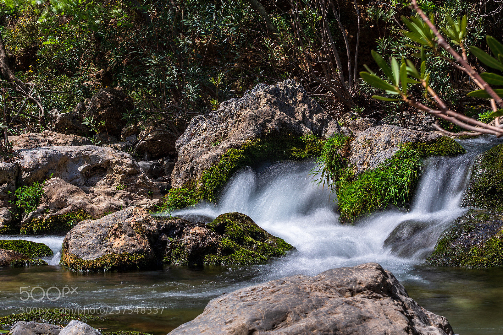 Canon EOS 6D sample photo. Floating photography