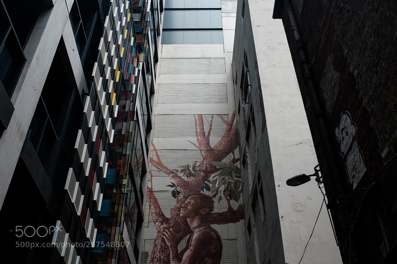 Fujifilm X100F sample photo. The look up photography