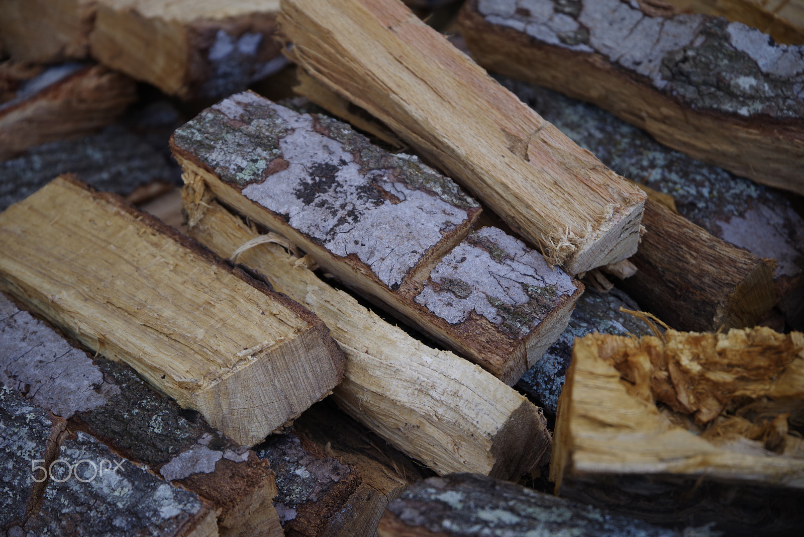 Pentax K-1 sample photo. Firewood bundle stand photography
