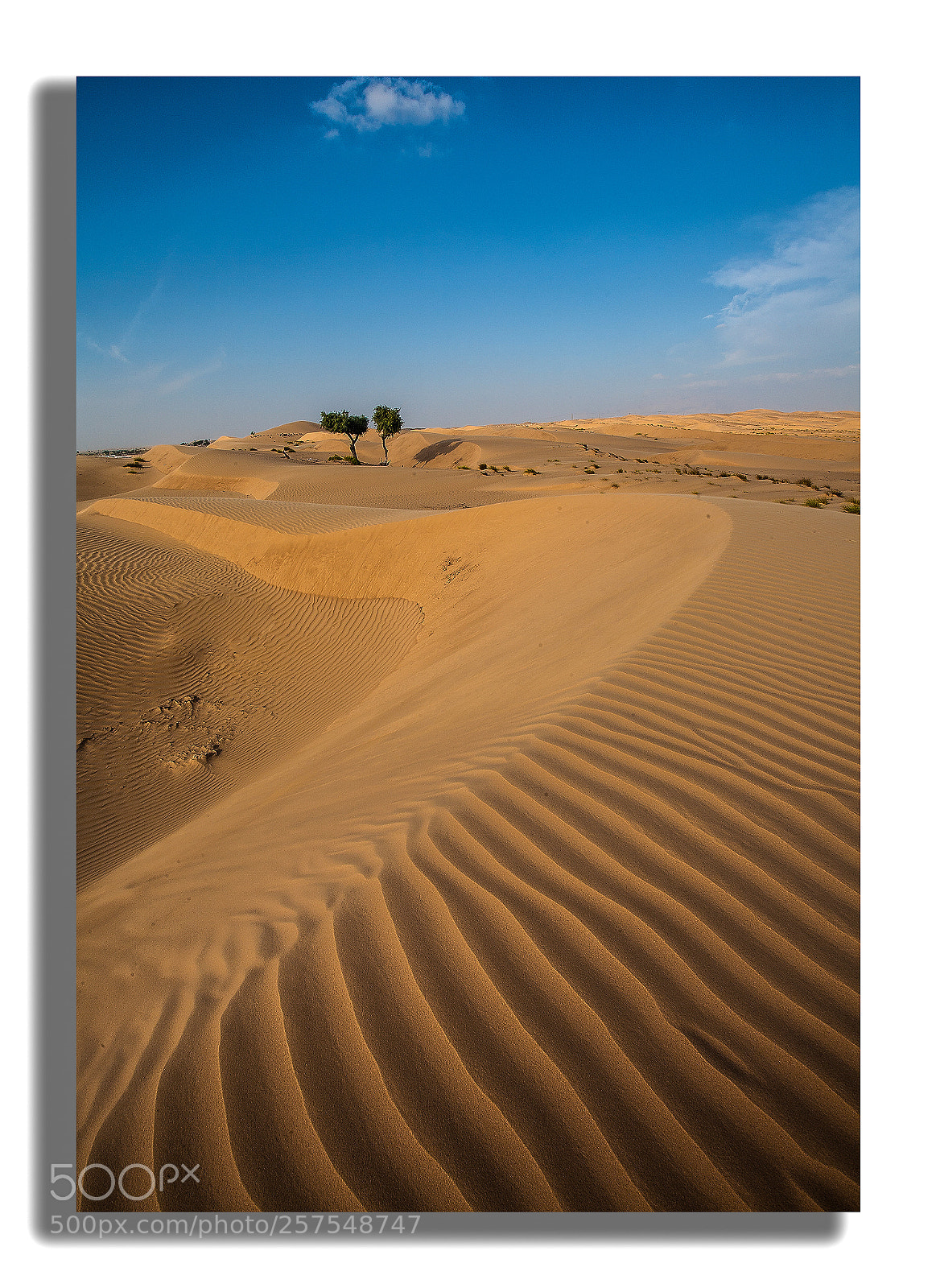 Canon EOS 5D sample photo. Sand art photography