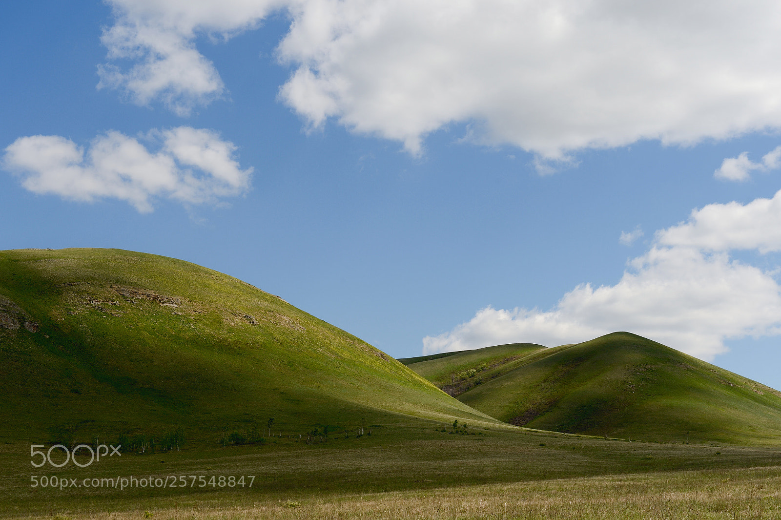 Nikon D4 sample photo. The hills of south photography