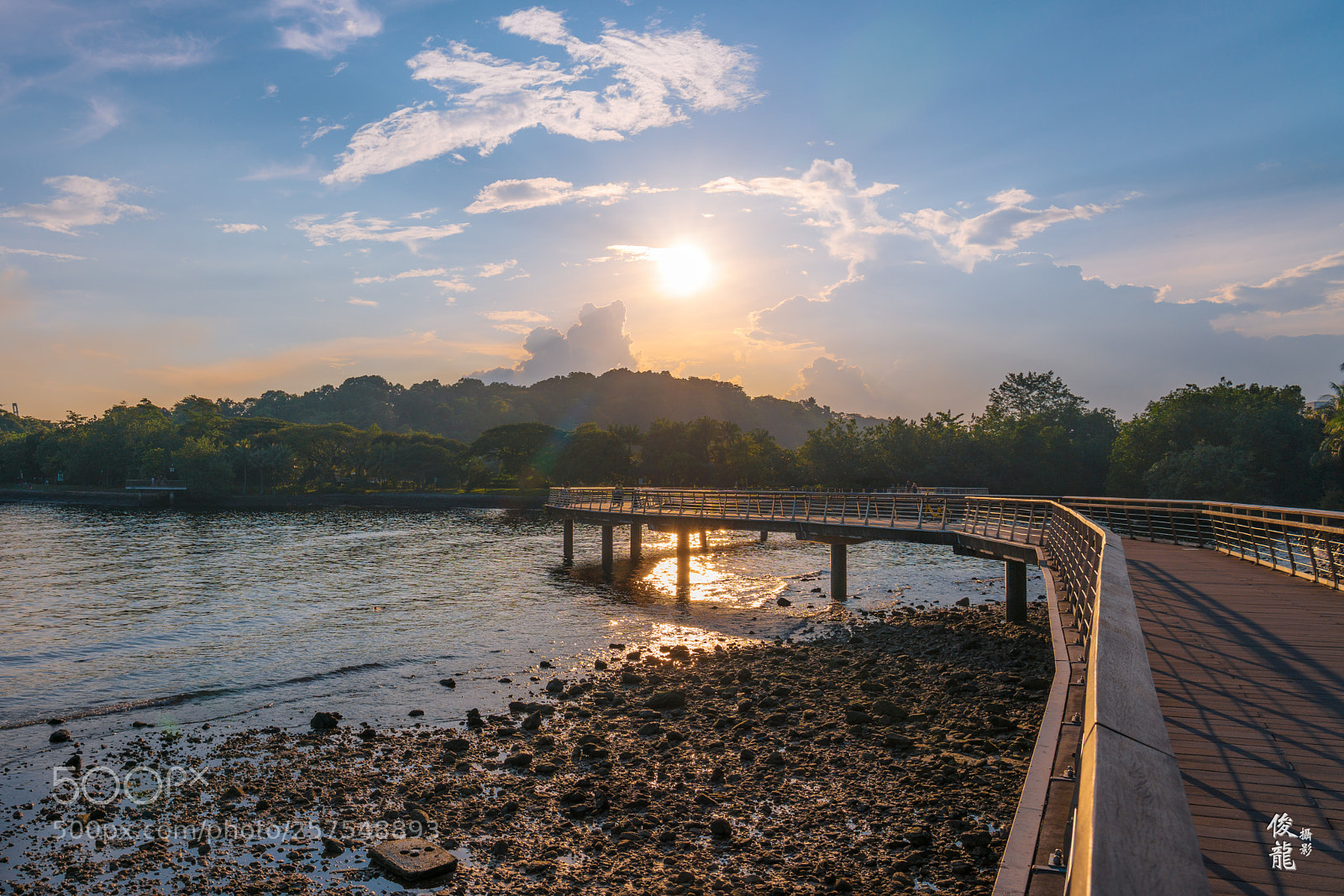 Sony a7R II sample photo. Gazing into the sunset photography