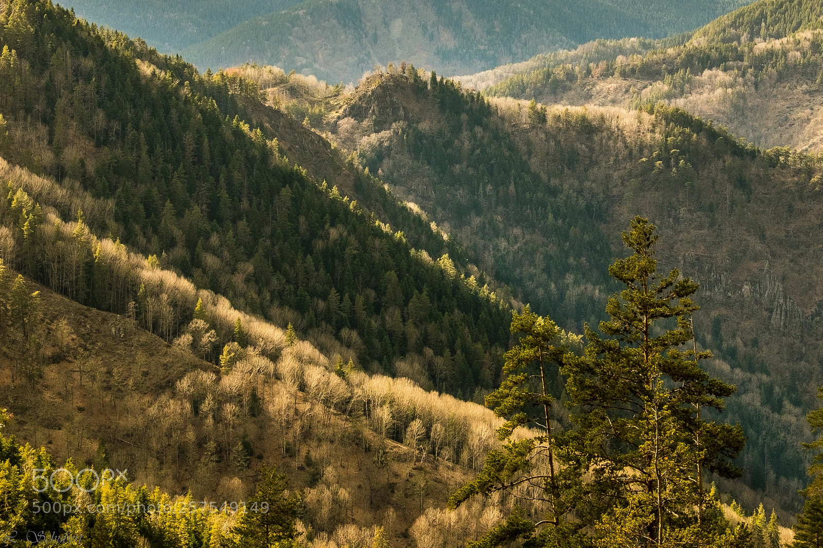 Fujifilm X-T1 sample photo. Early spring photography