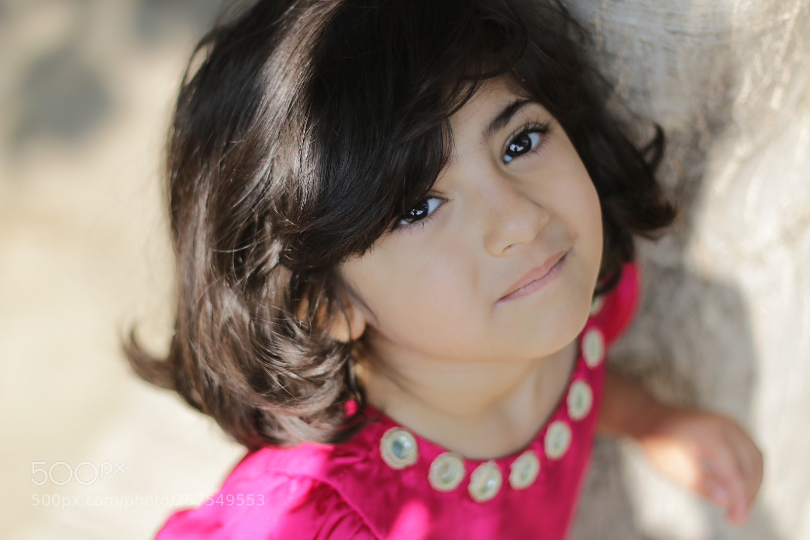 Canon EOS 70D + Canon EF 50mm F1.8 II sample photo. Untitled photography