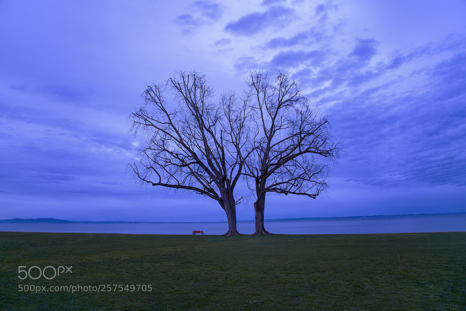 Nikon D750 sample photo. Bodensee..einsame zwinglinge photography