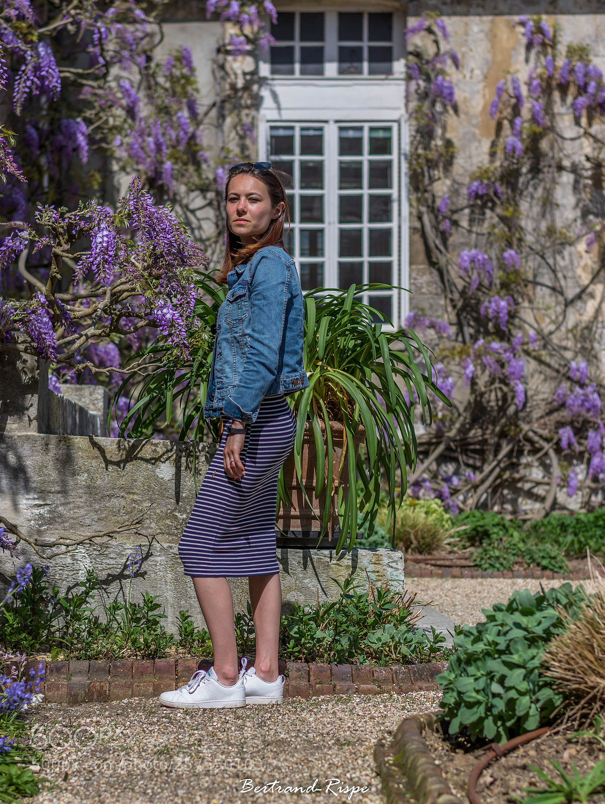 Nikon D7200 sample photo. Dans les glycines photography