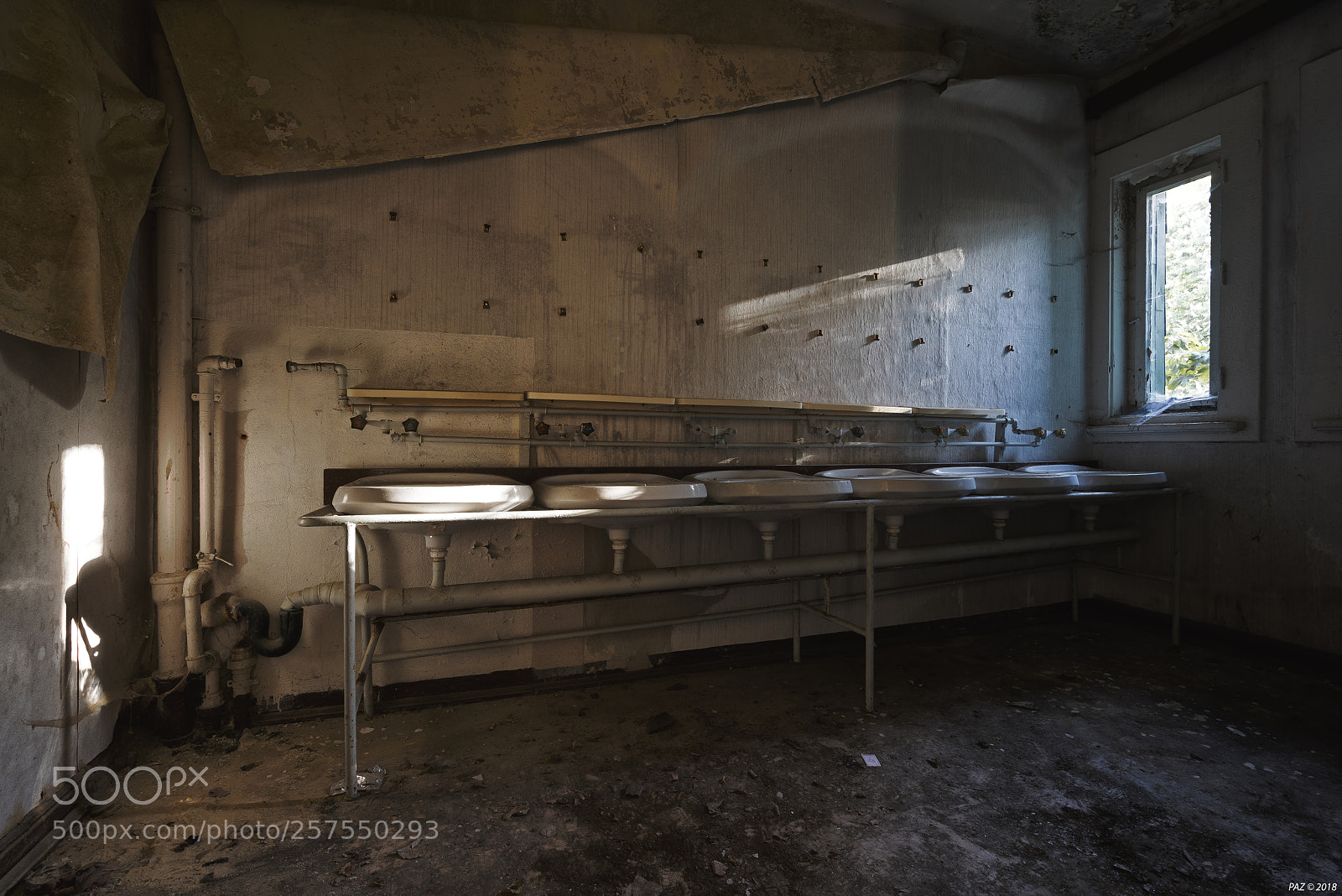 Sony a7R sample photo. Six photography