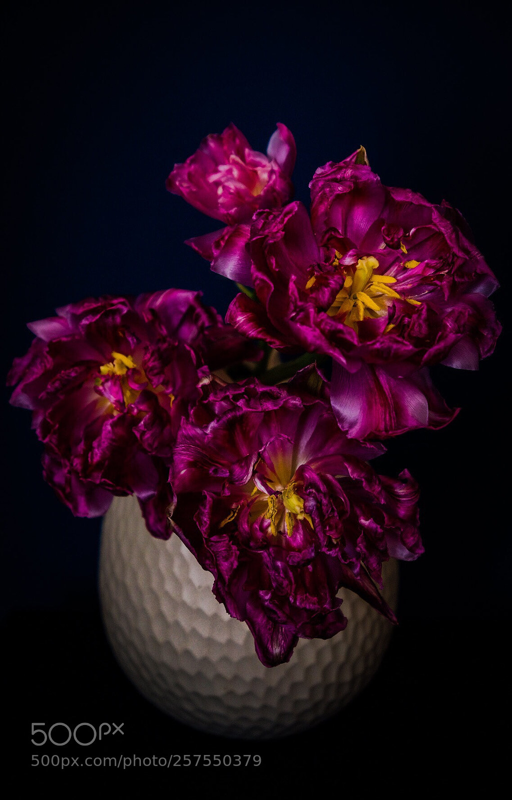 Fujifilm X-T20 sample photo. Untitled photography