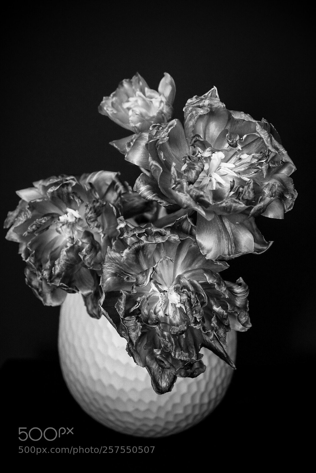 Fujifilm X-T20 sample photo. Untitled photography