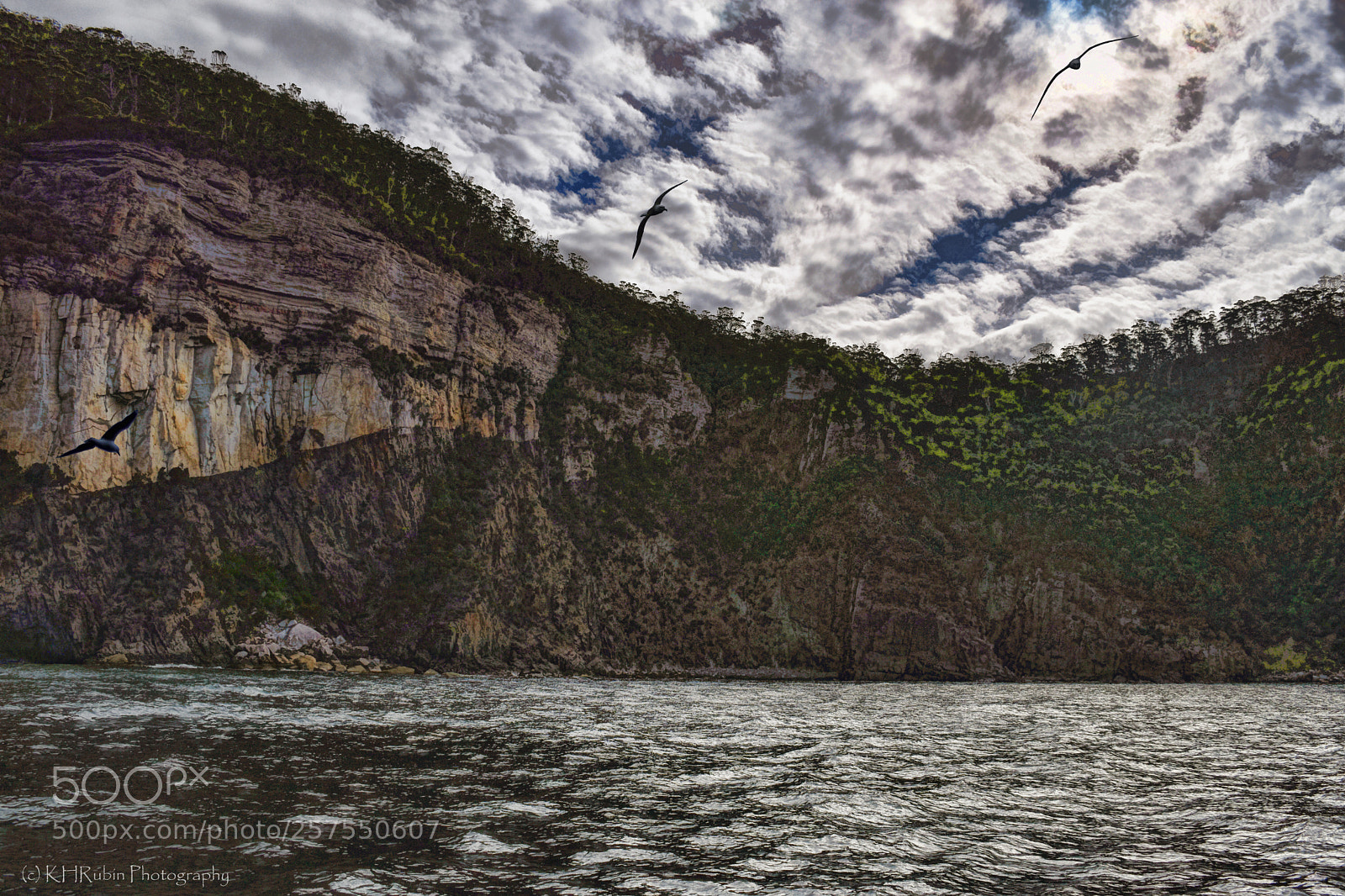 Nikon D5500 sample photo. Wild shoreline photography