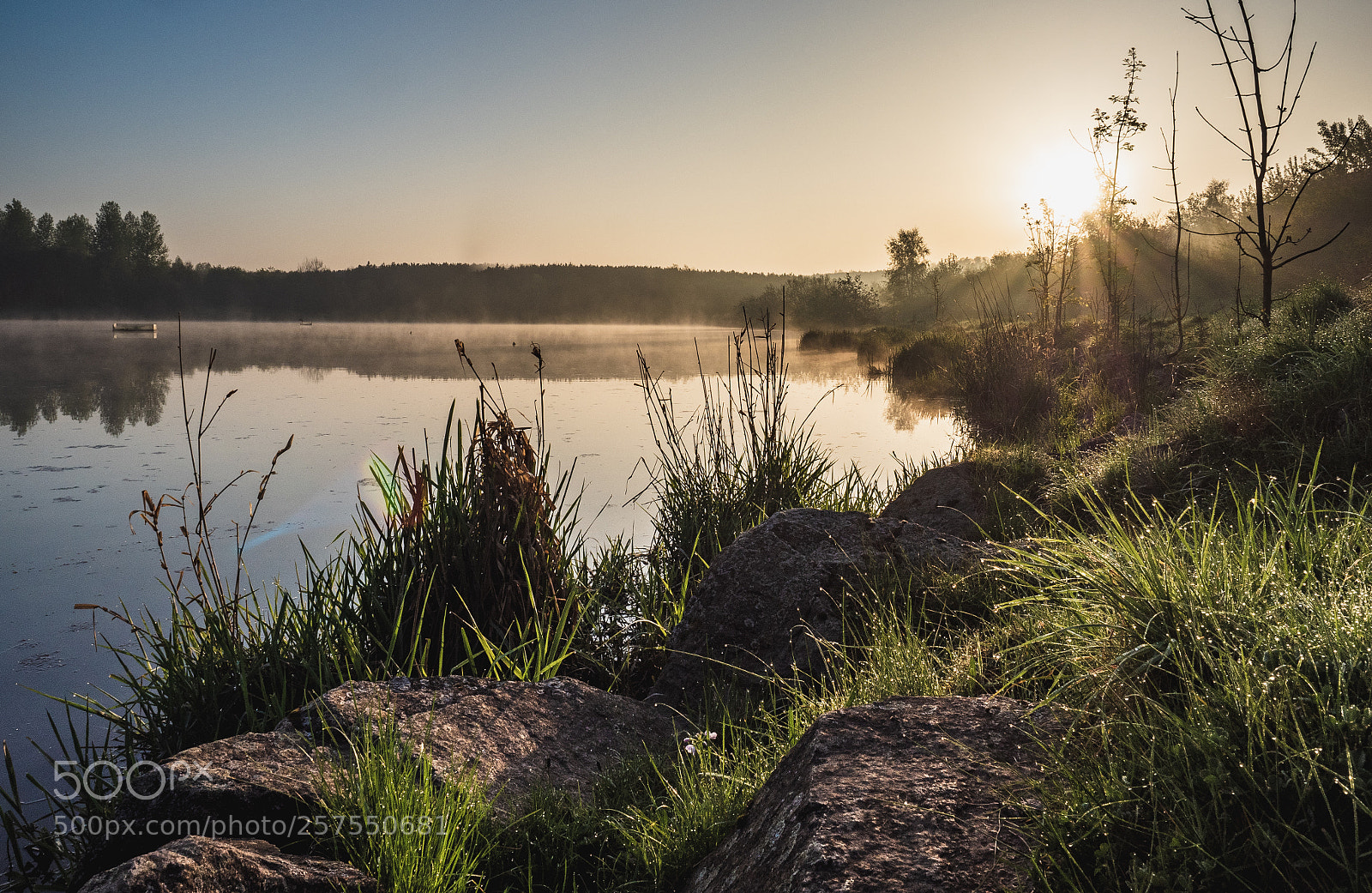 Olympus OM-D E-M5 II sample photo. Early one morning...... photography