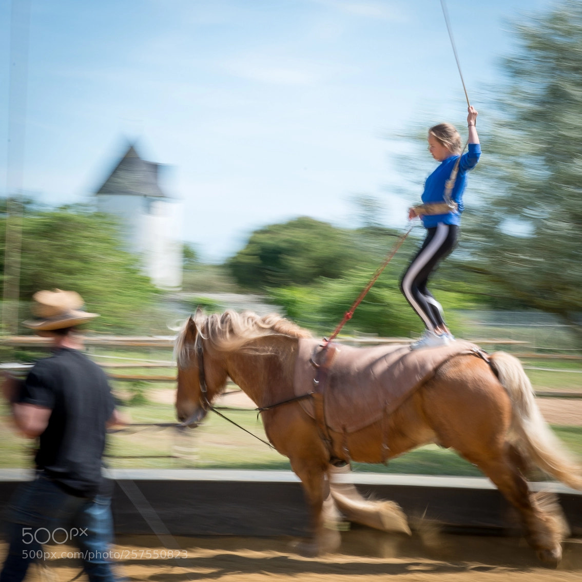 Nikon D800 sample photo. Voltige photography