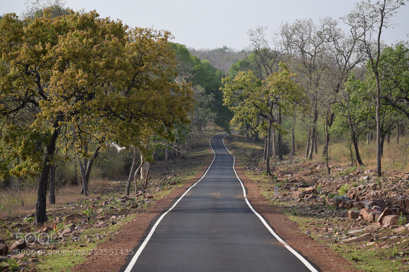 Nikon D3300 sample photo. Untitled photography