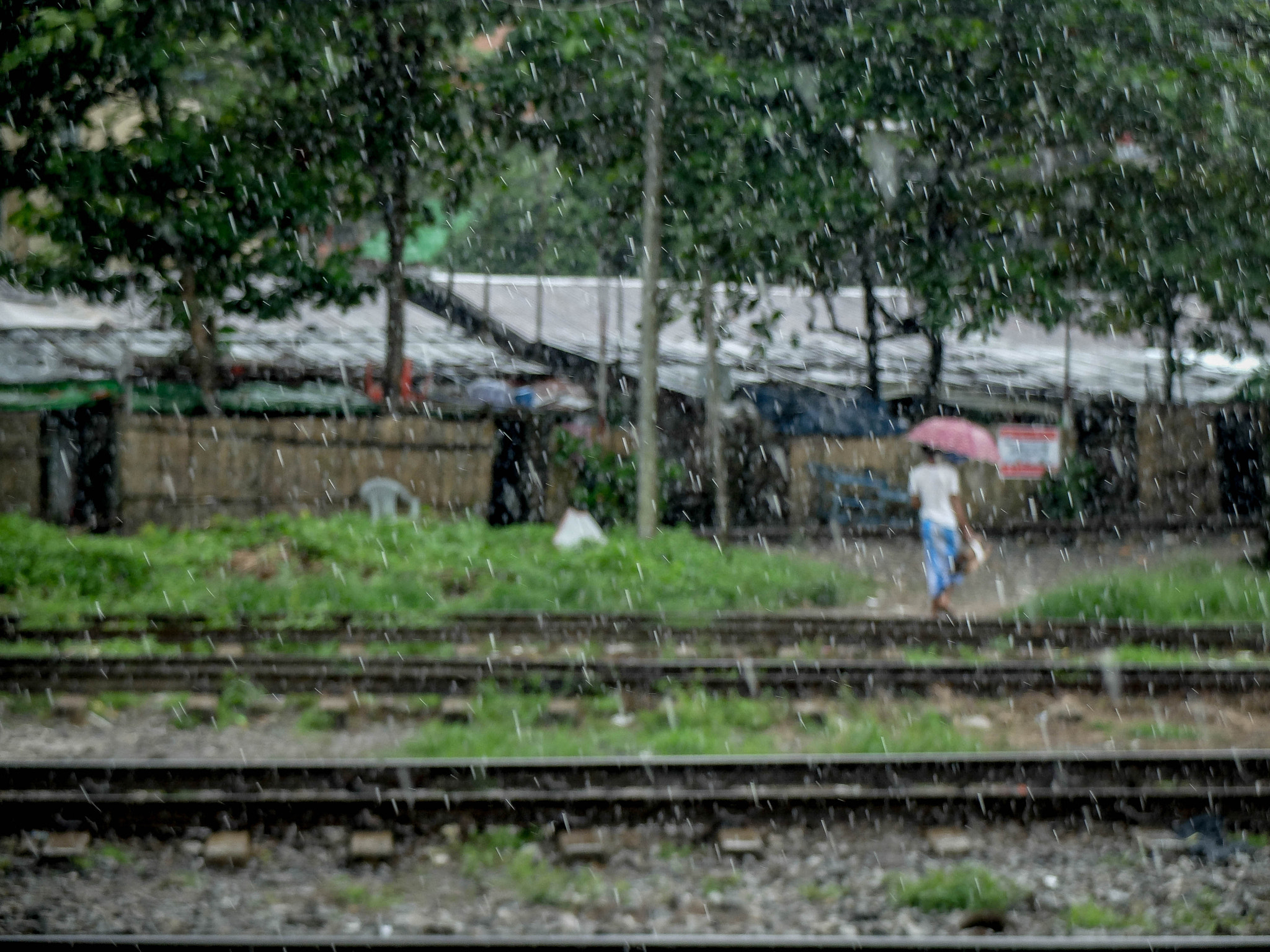 Fujifilm X20 sample photo. Train to bago - myanmar photography
