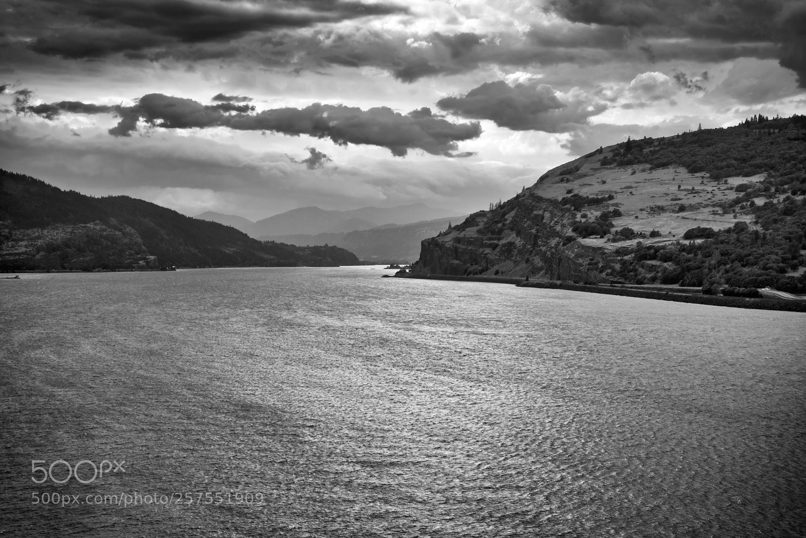 Nikon D750 sample photo. Columbia gorge (monochrome) photography