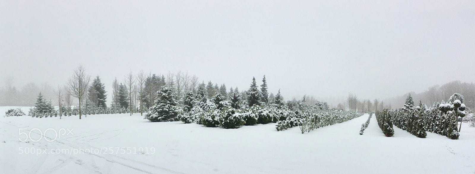 Apple iPhone 6s Plus sample photo. Snowy panorama photography